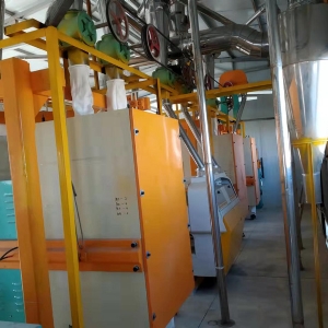 8臺磨平篩清粉機打包稱設備