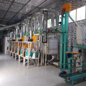 6臺(tái)磨平篩設(shè)備