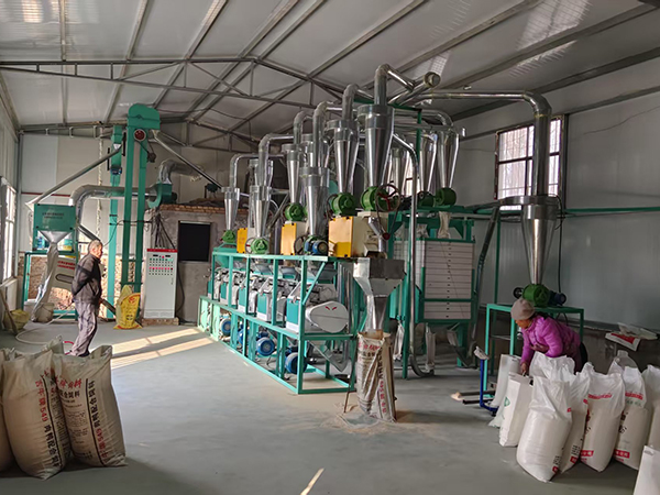 如何選擇合適的50噸面粉加工設備？鑫峰面粉機械小編告訴您